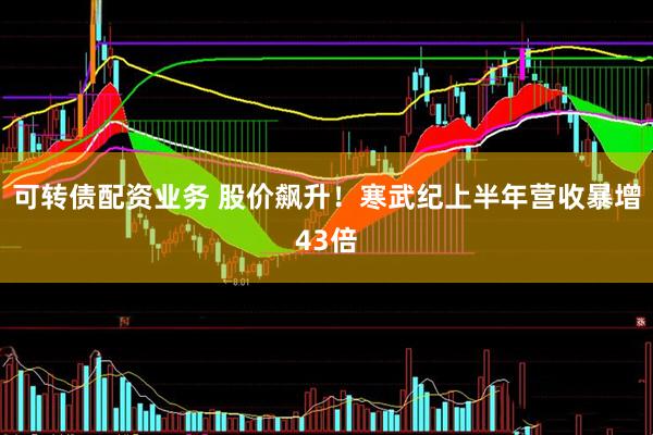 可转债配资业务 股价飙升！寒武纪上半年营收暴增43倍