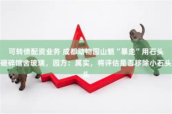可转债配资业务 成都动物园山魈“暴走”用石头砸碎馆舍玻璃，园方：属实，将评估是否移除小石头