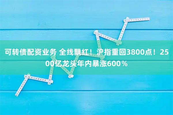 可转债配资业务 全线飘红！沪指重回3800点！2500亿龙头年内暴涨600％