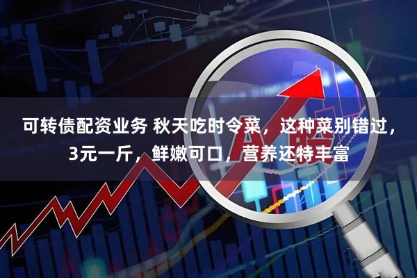 可转债配资业务 秋天吃时令菜，这种菜别错过，3元一斤，鲜嫩可口，营养还特丰富