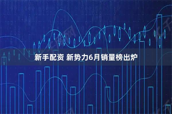新手配资 新势力6月销量榜出炉