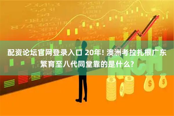 配资论坛官网登录入口 20年! 澳洲考拉扎根广东繁育至八代同堂靠的是什么?